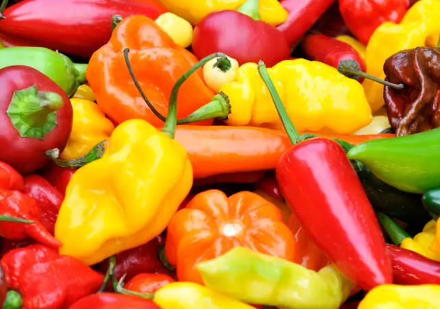 Does bell pepper have capsaicin.png